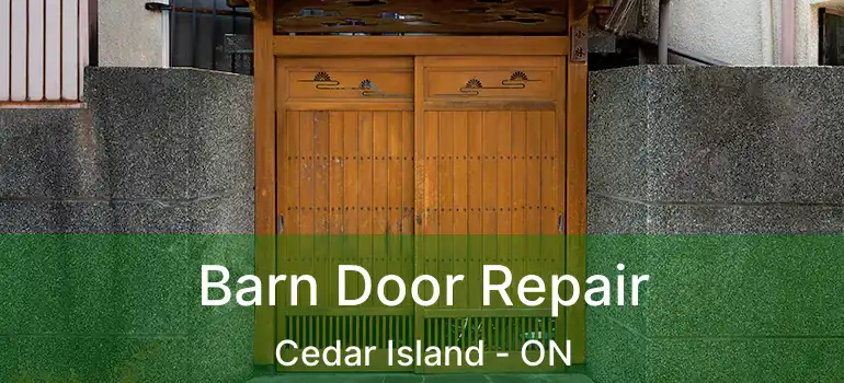  Barn Door Repair Cedar Island - ON