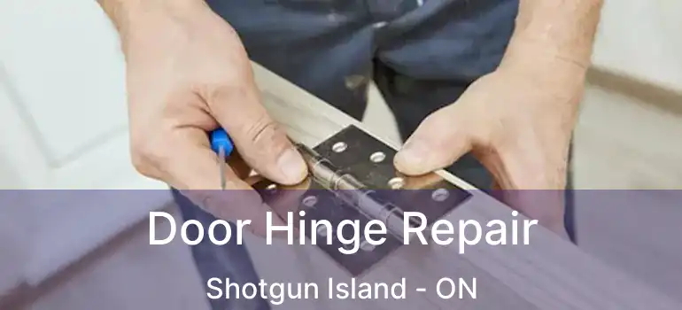  Door Hinge Repair Shotgun Island - ON