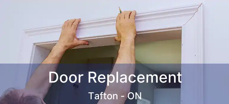  Door Replacement Tafton - ON