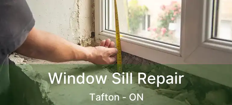  Window Sill Repair Tafton - ON