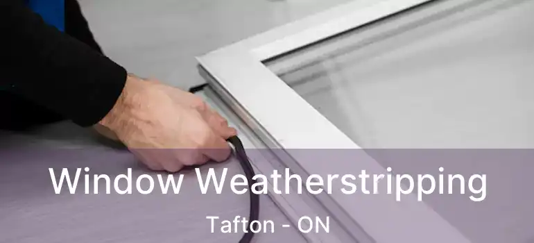  Window Weatherstripping Tafton - ON